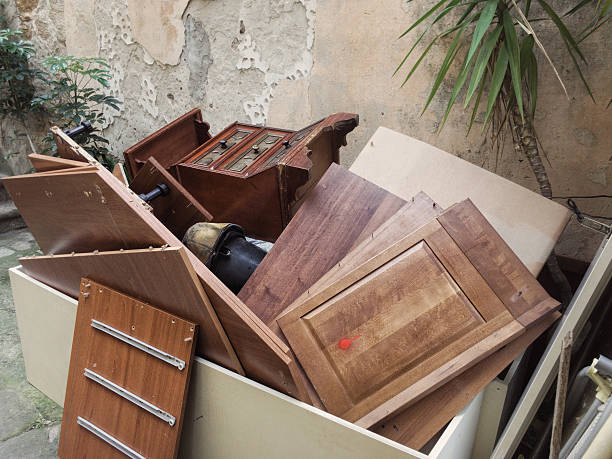 Best Junk Removal Near Me  in Pinckney, MI